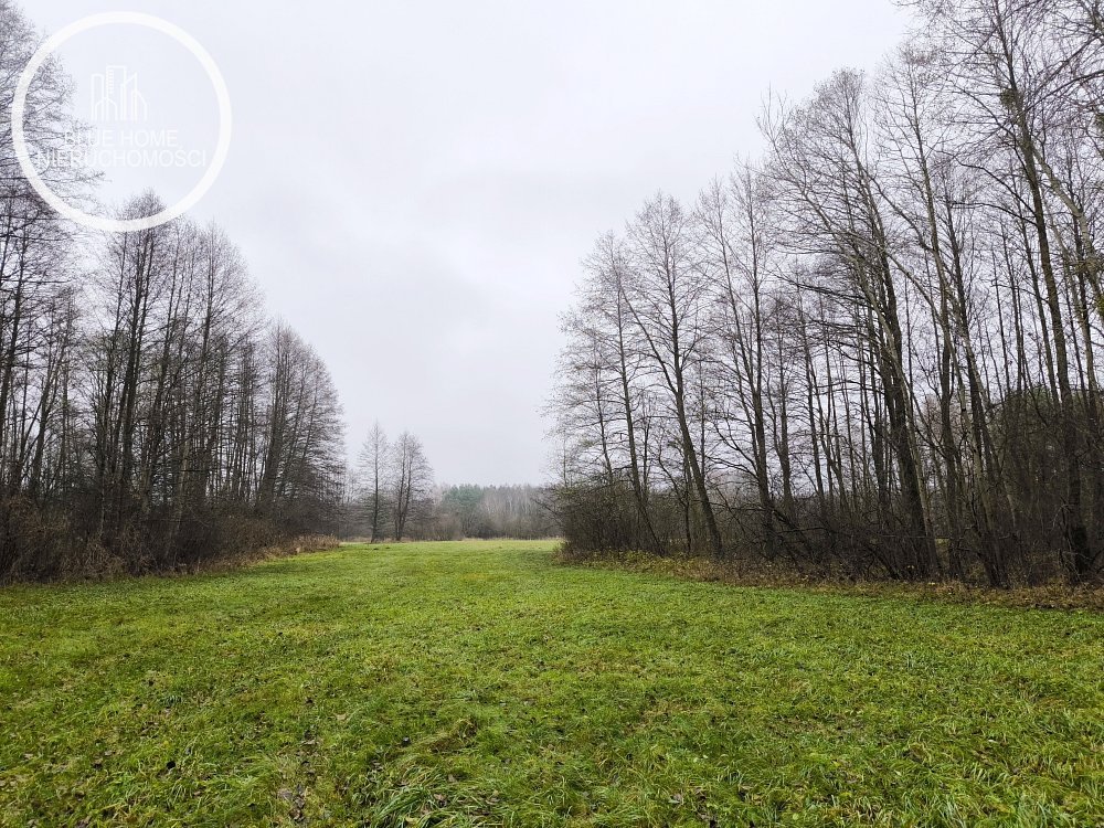 Działka rolna 10,74 ha z pastwiskami i zadrzewieniami Kosyń  107 400m2 Foto 1