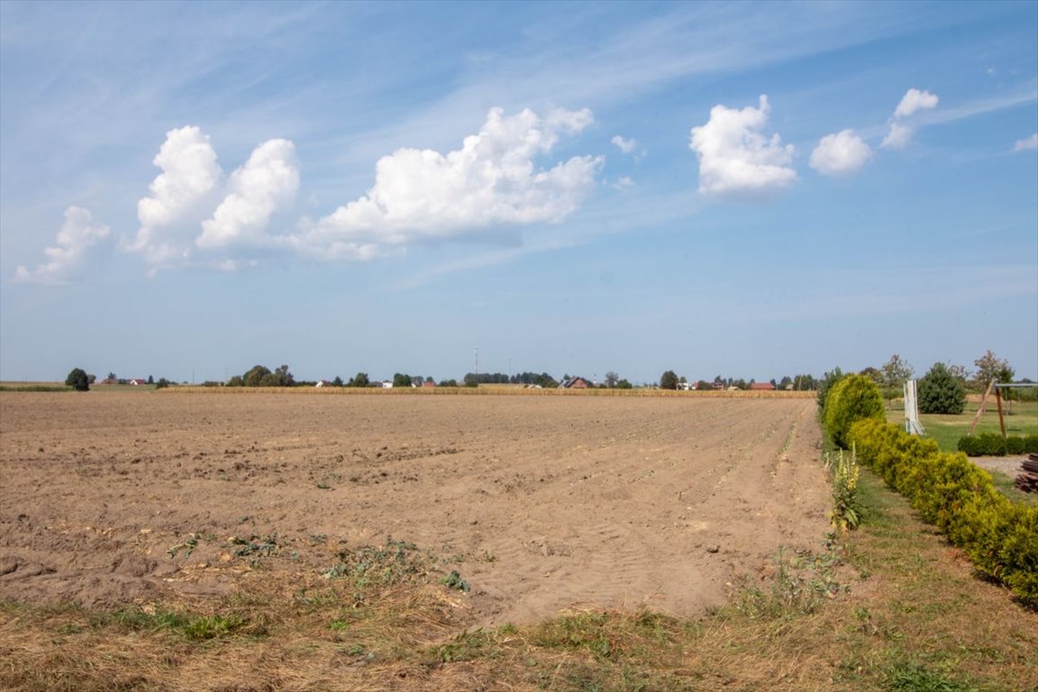 Działka przemysłowo-handlowa na sprzedaż Ciasna, Nowy Dwór  5 093m2 Foto 5