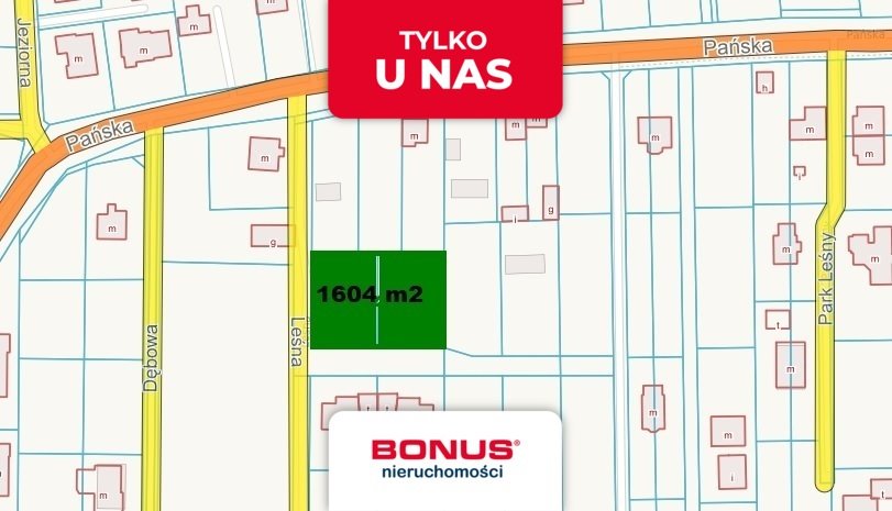 Działki 1604m2 w Dębinie, cisza, szybki dojazd Dębina, Pańska  1 604m2 Foto 1