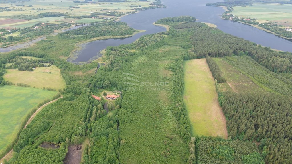 Działka leśna na sprzedaż Makosieje  60 900m2 Foto 4