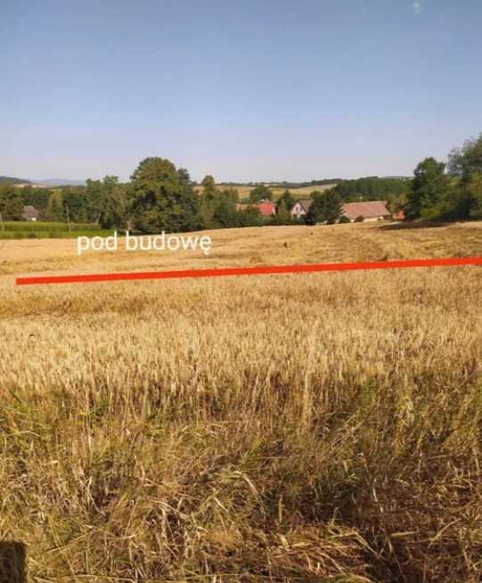 Działka inna na sprzedaż Kamieniec Ząbkowicki, Doboszowice  10 100m2 Foto 3