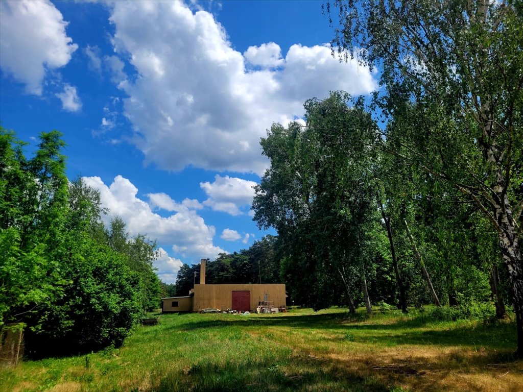 Lokal użytkowy na wynajem Raków, Raków, Raków 12a  420m2 Foto 5