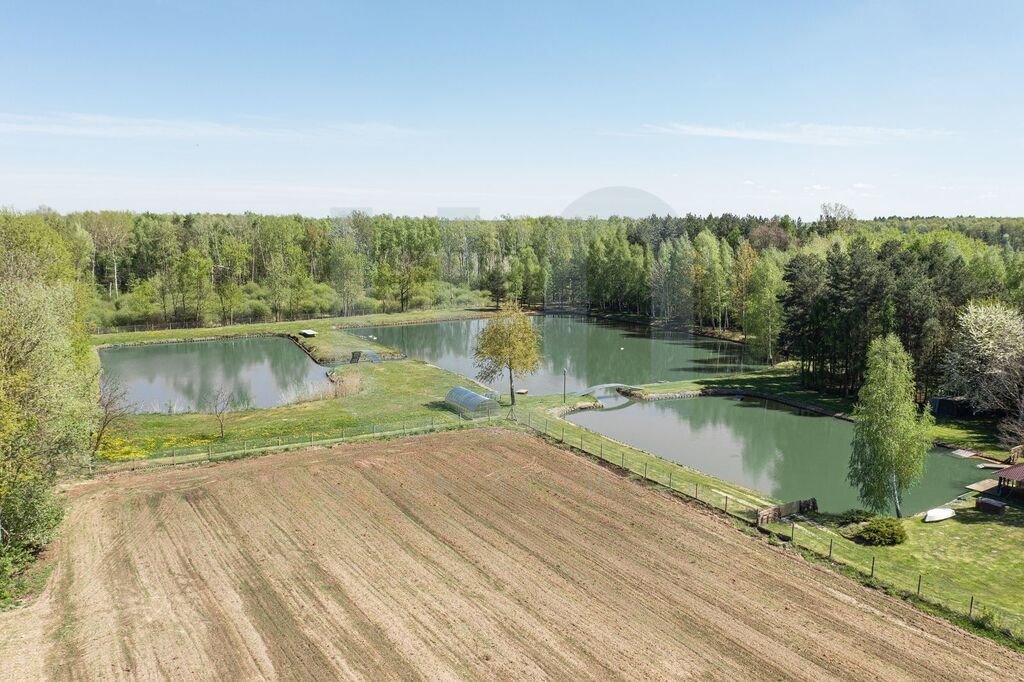 Działka siedliskowa na sprzedaż Zimnice  24 000m2 Foto 17