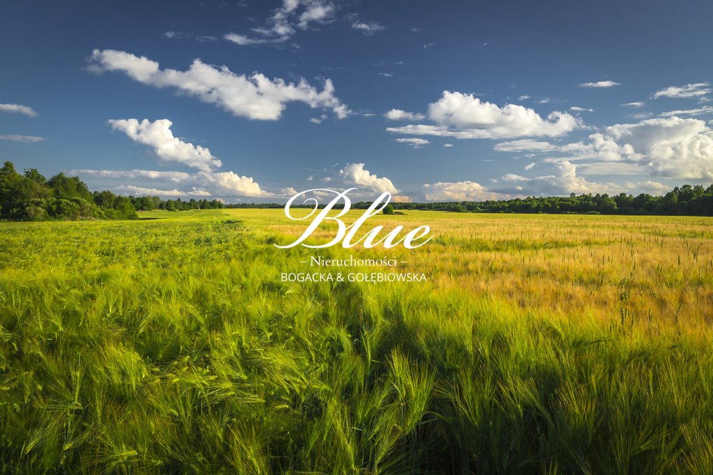 Działka 1100 m2 w Mierzynie – cisza, prywatność, elastyczność Mierzyn  1 100m2 Foto 1