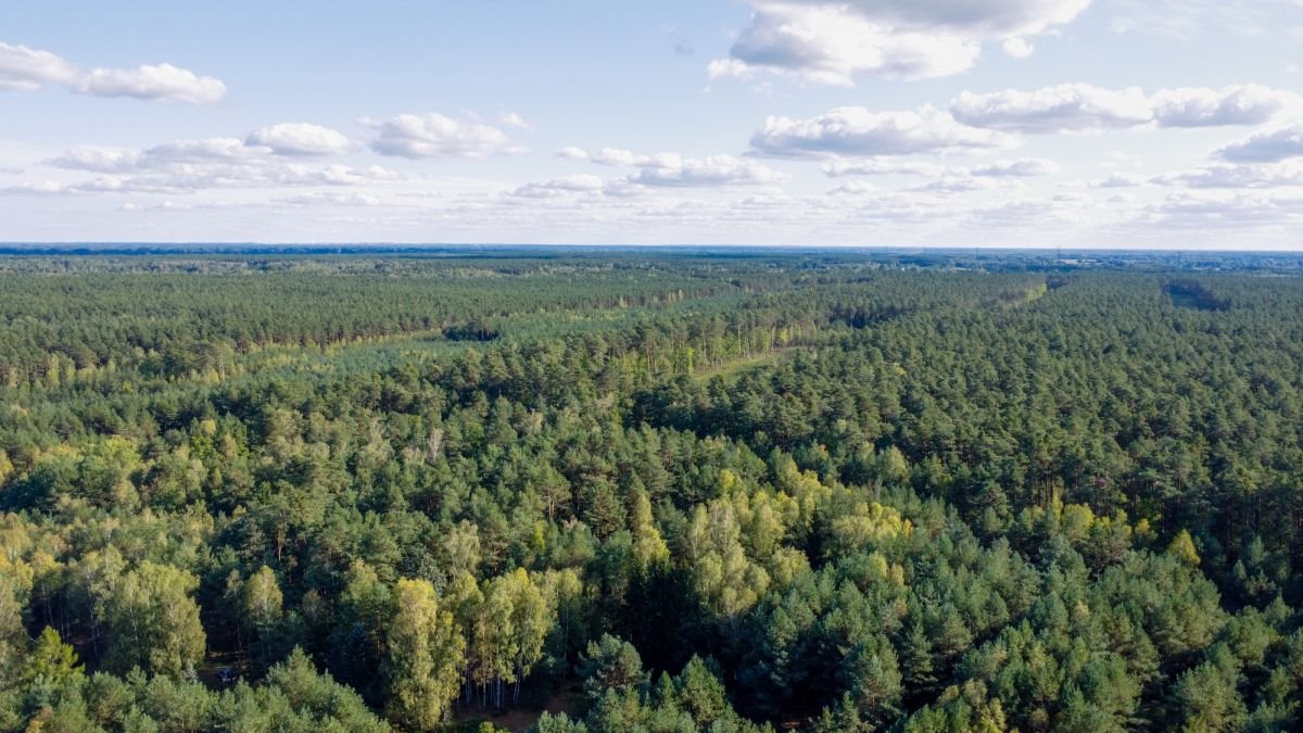 Działka budowlana na sprzedaż Basinów  972m2 Foto 9