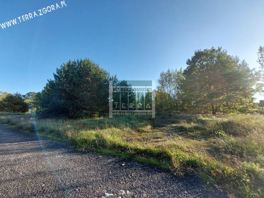 Zapraszam do zakupu działki 4053 m² z asfaltowym dojazdem i uzbrojeniem Grabowiec  4 053m2 Foto 1