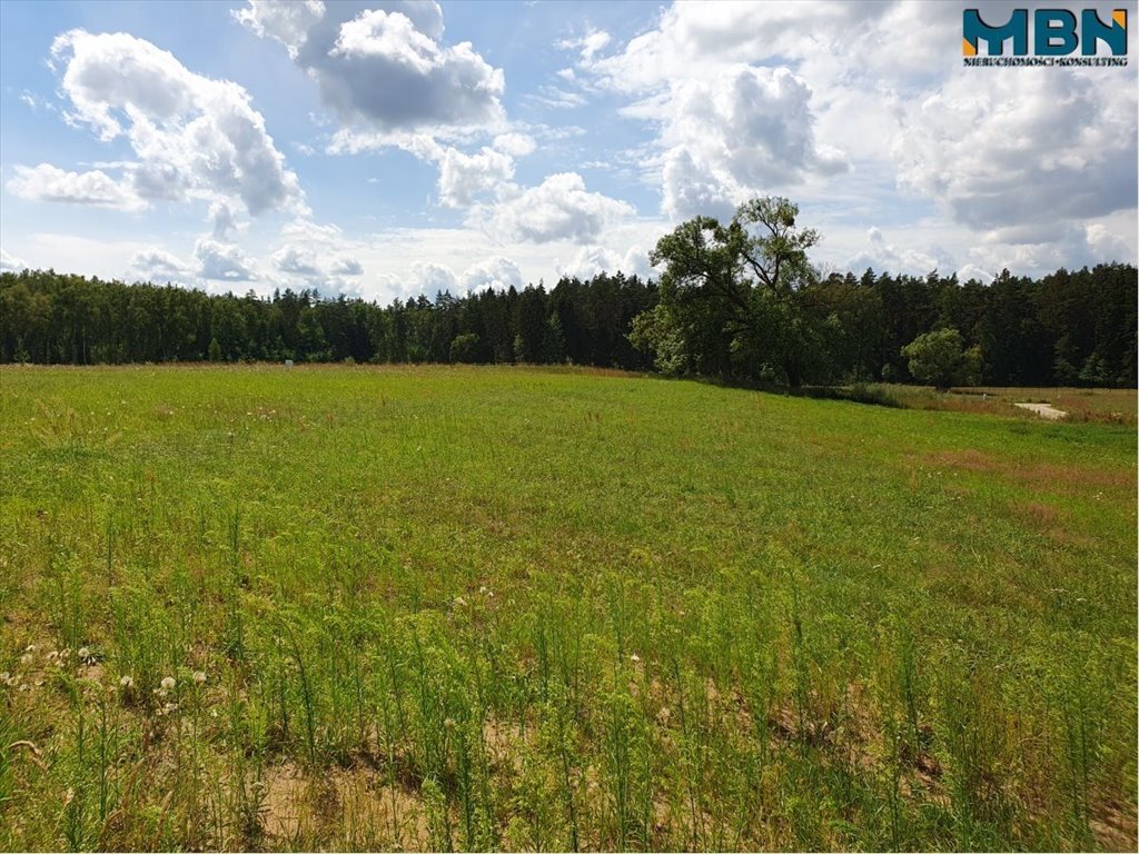 Działka budowlana na sprzedaż Jagodne Wielkie, Jagodne Wielkie  2 075m2 Foto 14