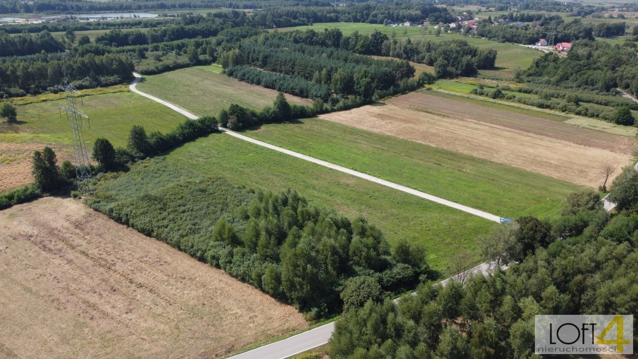 Działka budowlana na sprzedaż Rajsko  5 121m2 Foto 15