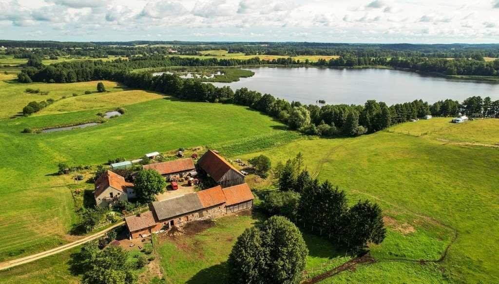 Działka rolna na sprzedaż Mojtyny  3 000m2 Foto 1