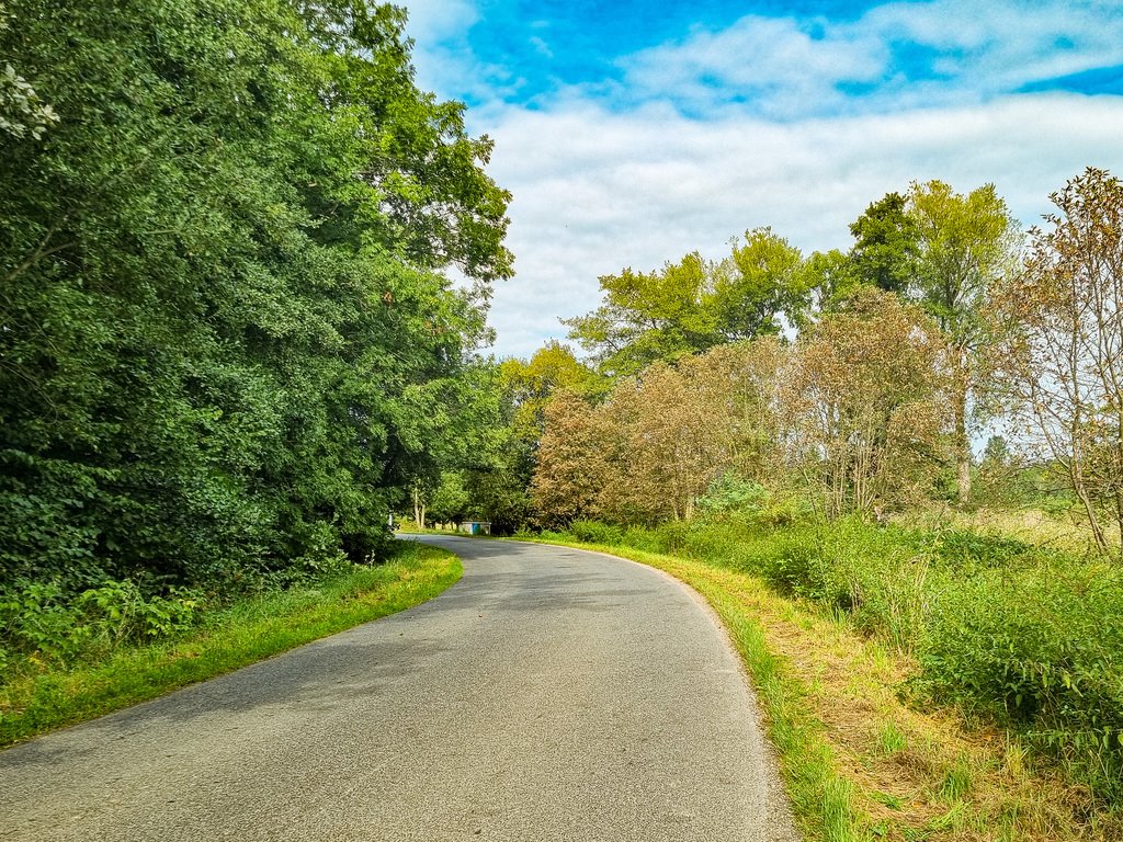 Działka inna na sprzedaż Wilkanów  1 500m2 Foto 3