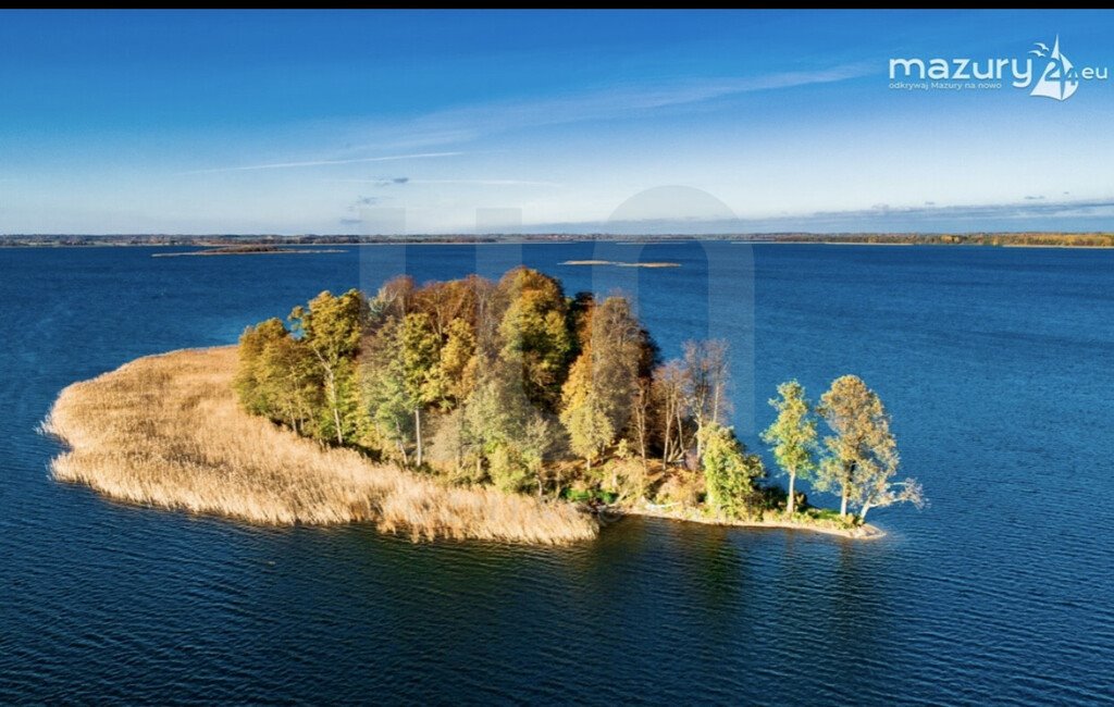 Działka budowlana na sprzedaż Dobki  4 967m2 Foto 19