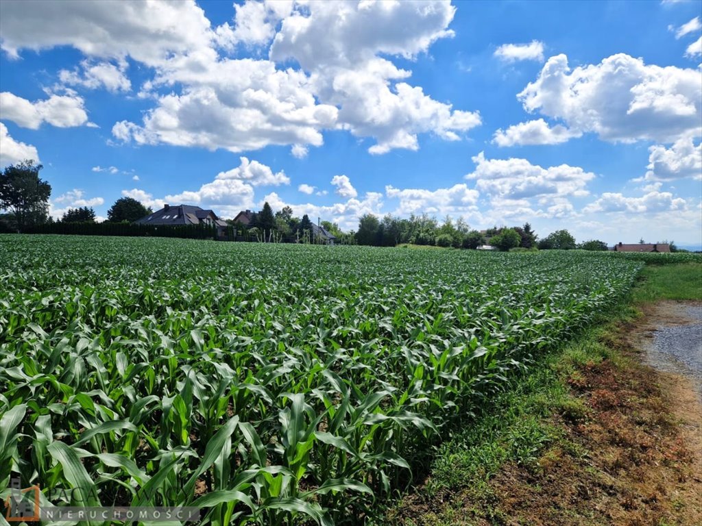 Na sprzedaż widokowa działka 41,16 ara w Górnej Wsi Górna Wieś  4 116m2 Foto 1