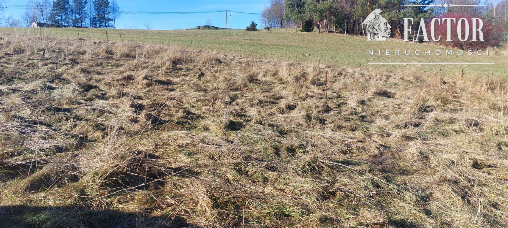 Działka rekreacyjna na sprzedaż Klimkówka  1 263m2 Foto 1