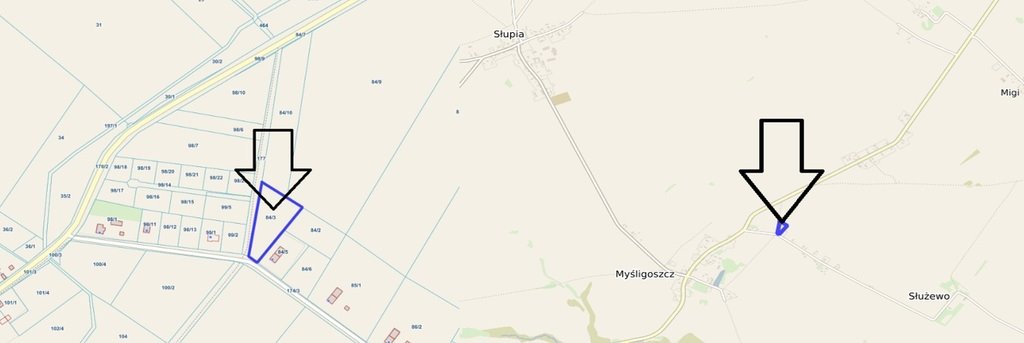 Działka rolna na sprzedaż Myśligoszcz  4 000m2 Foto 1