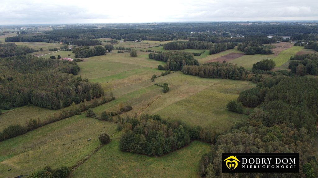 Działka budowlana na sprzedaż Przejma Wysoka  2 200m2 Foto 4