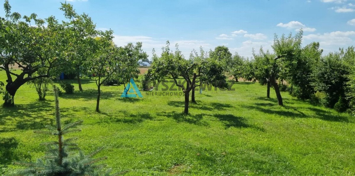 Działka rolna na sprzedaż Nowy Staw, Ogrodowa  1 100m2 Foto 3