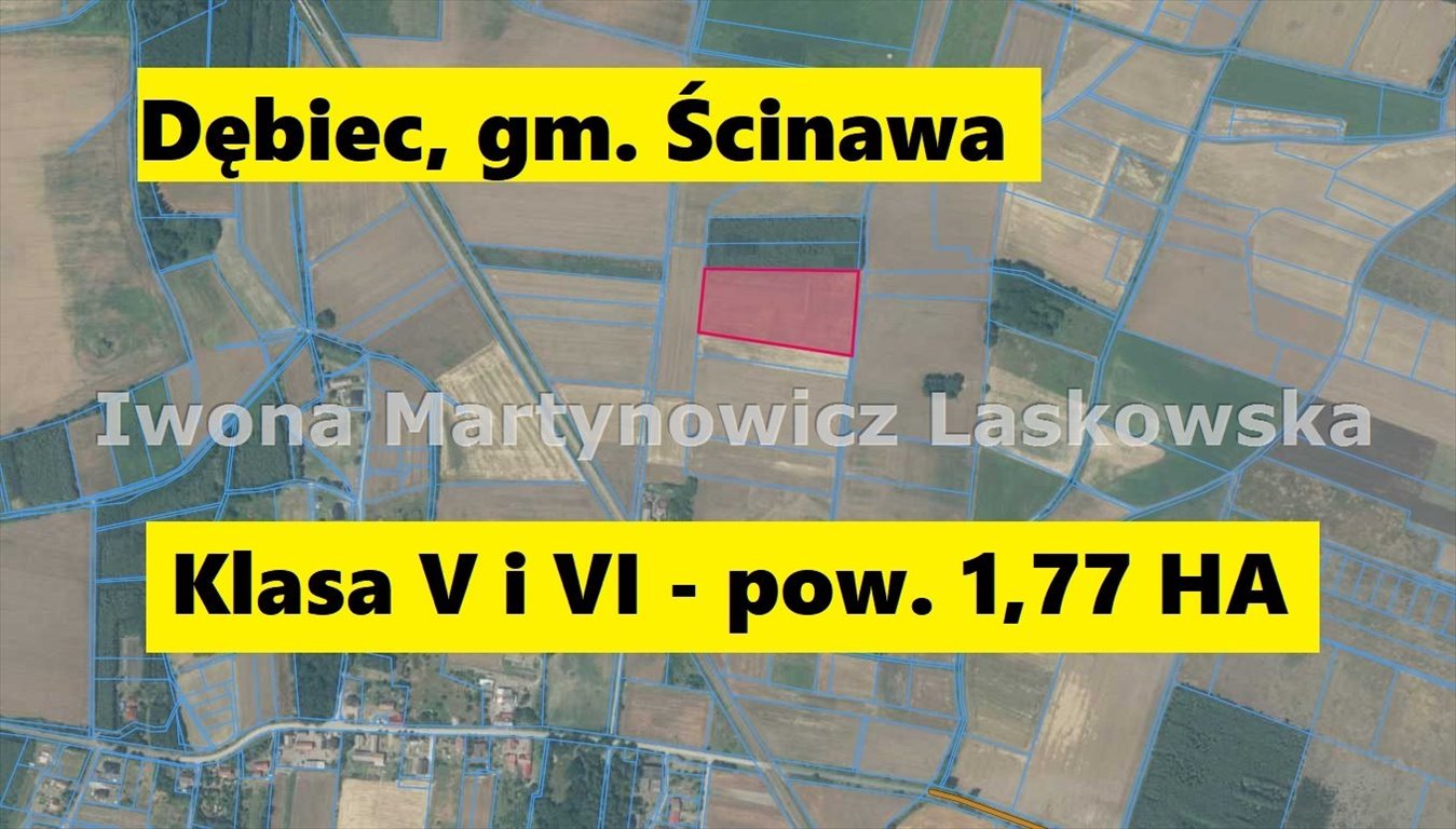 Działki rolne na sprzedaż w Dębiec, 3,81 ha, negocjacje Dębiec  38 100m2 Foto 1