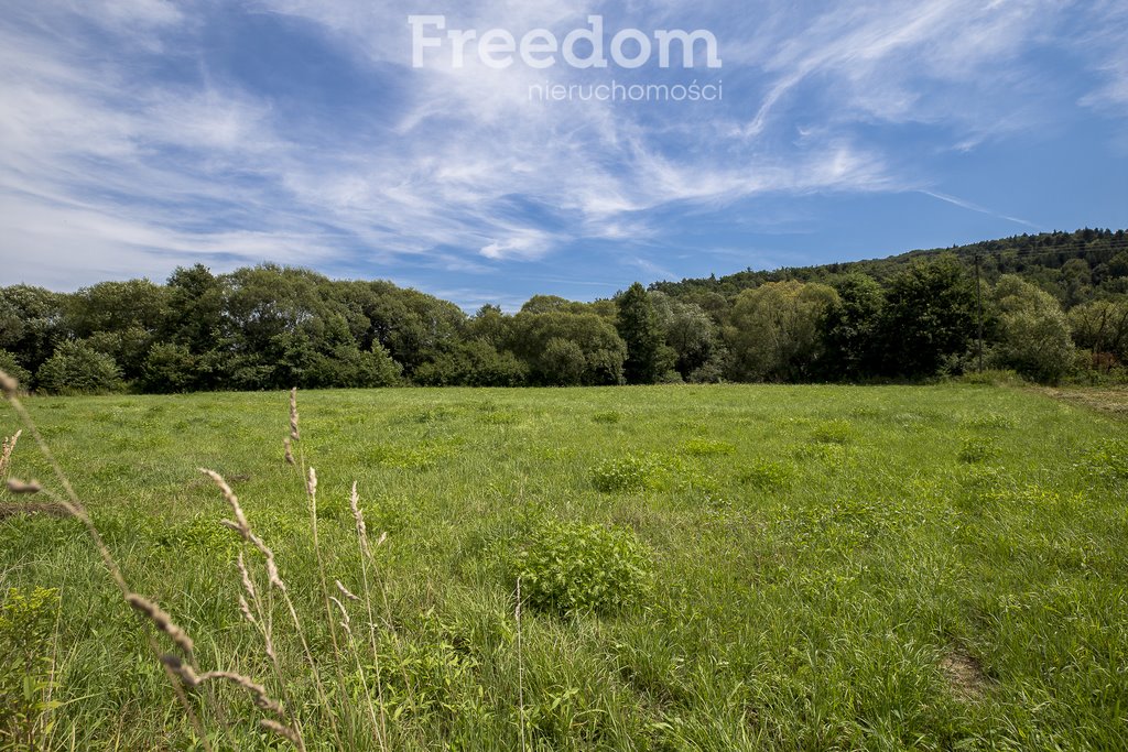 Działka rolna na sprzedaż Cieszyna  9 593m2 Foto 18