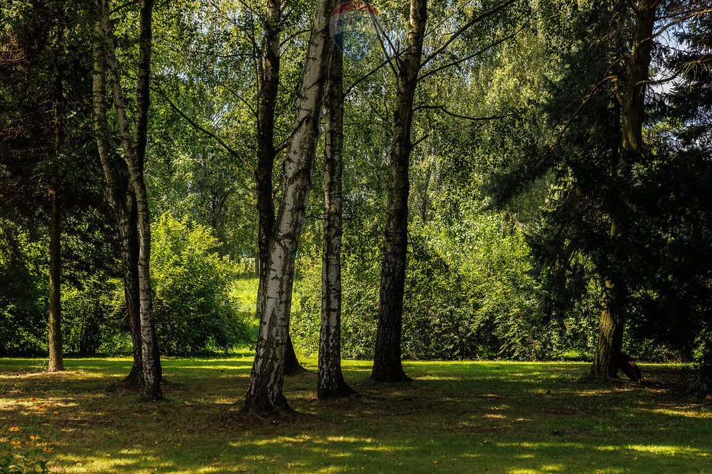 Działka inwestycyjna na sprzedaż Pruchna  23 340m2 Foto 9