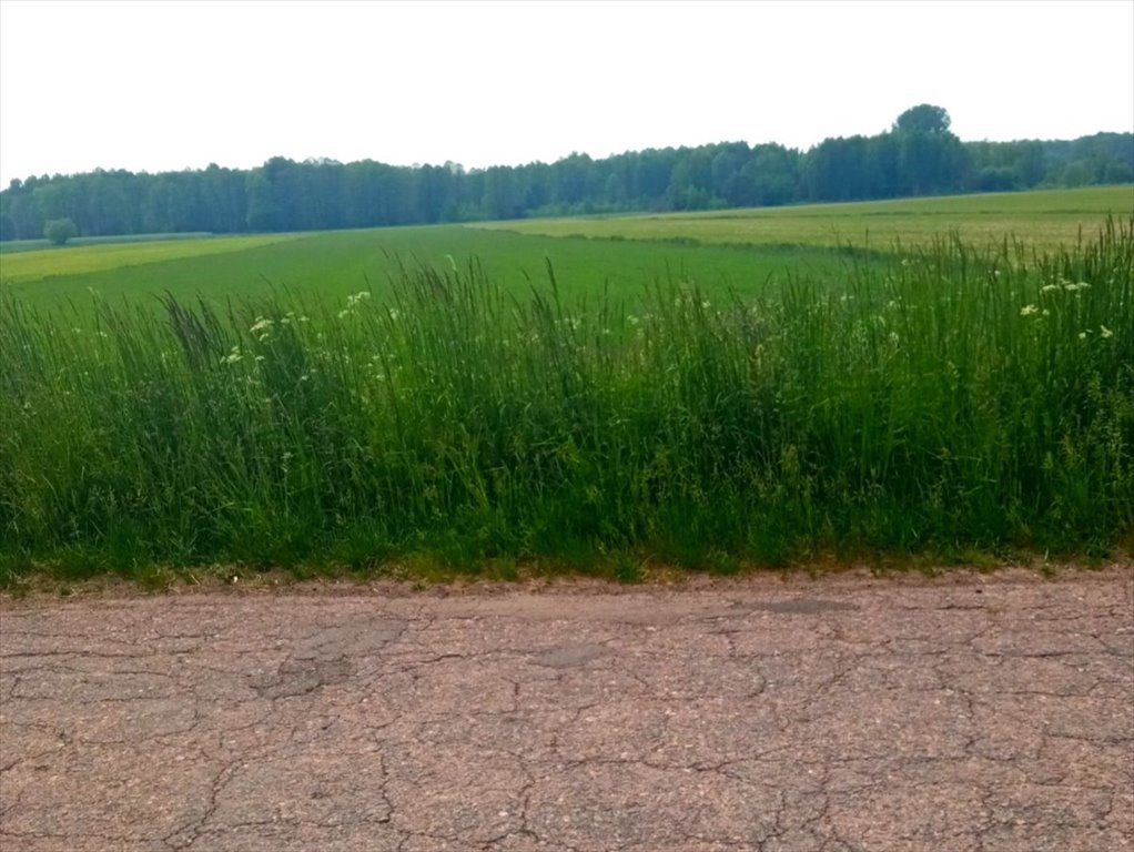 Działka gospodarstwo rolne na sprzedaż Minczewo  10 000m2 Foto 1