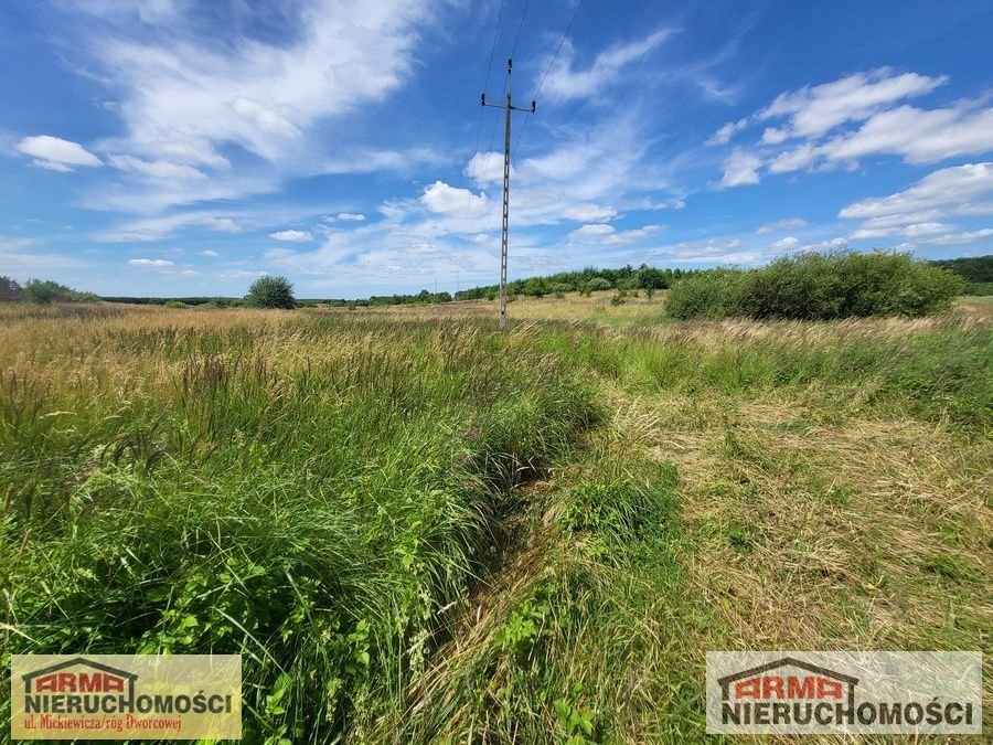 Działka rolna na sprzedaż Dobrzany  10 800m2 Foto 1