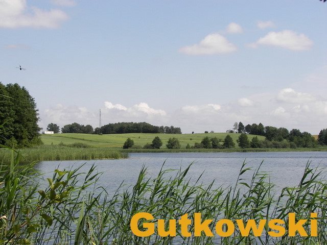 Działka rolna na sprzedaż Lekarty, Gmina Nowe Miasto Lub., Lekarty  3 053m2 Foto 1