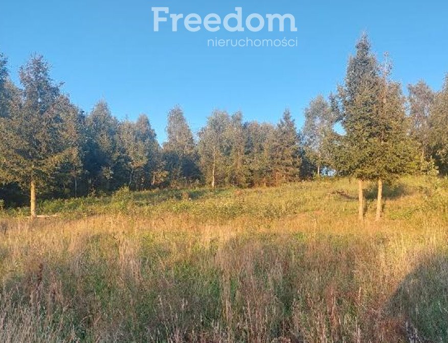 Zapraszam do zakupu działki z widokiem, mediami i lasem Klonowo Górne, Świerkowa  3 987m2 Foto 1