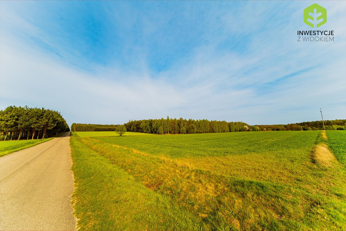 Działka budowlana na sprzedaż Radomsko, Kompleks działek budowlanych przy lesie i asfalcie blisko Radomska  700m2 Foto 6