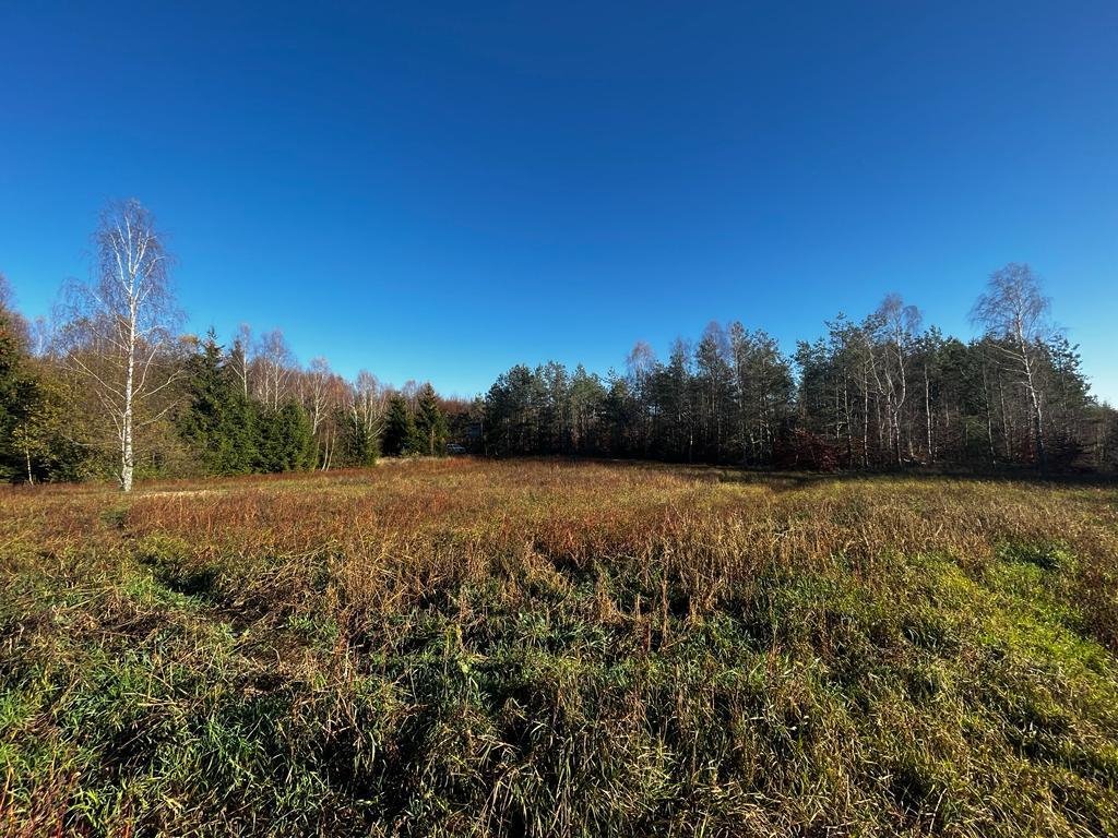 Działka siedliskowa na sprzedaż Zadry  70 600m2 Foto 3