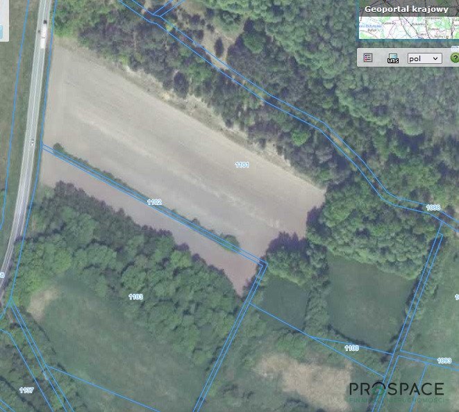 Działka rolna 63 200 m² z możliwością siedliska i stajni Świdnica  63 200m2 Foto 1