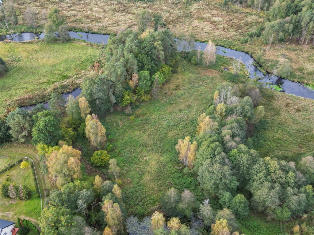 Działka rolna na sprzedaż Korzybie  6 800m2 Foto 2