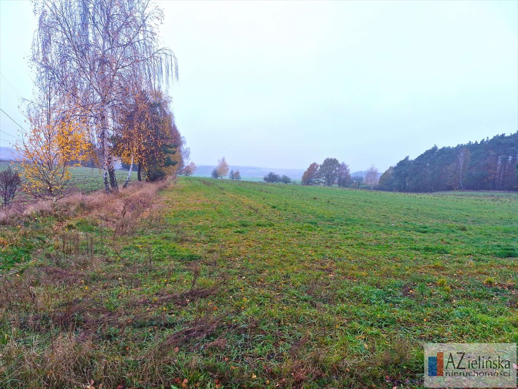 Działka rolna na sprzedaż Poznań, Glinienko  40 000m2 Foto 2