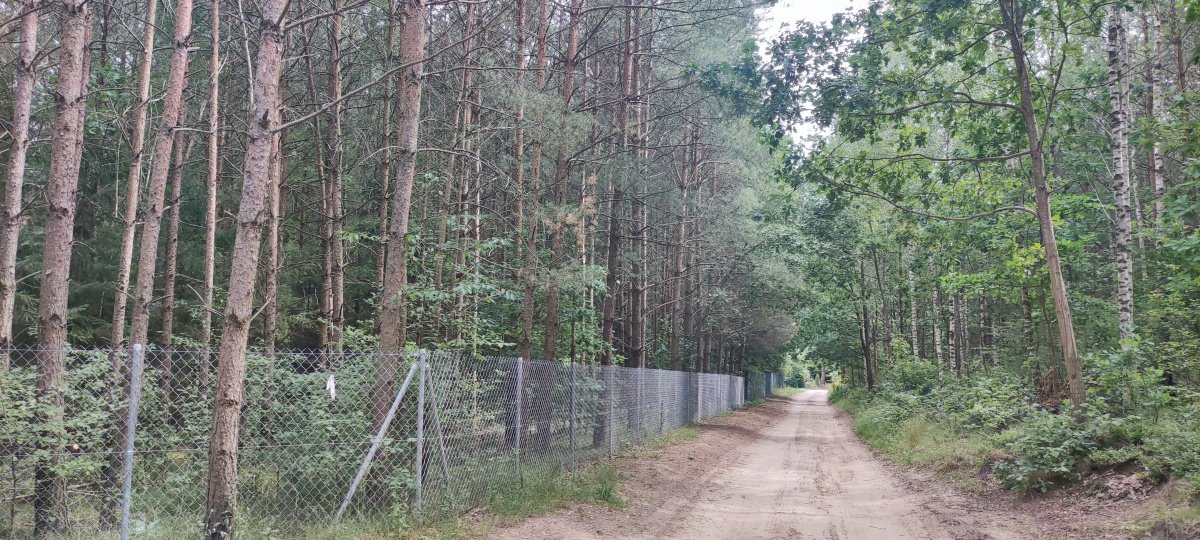 Działka budowlana na sprzedaż Kieźliny, Romana Domagały 2N do 2K  3 591m2 Foto 6