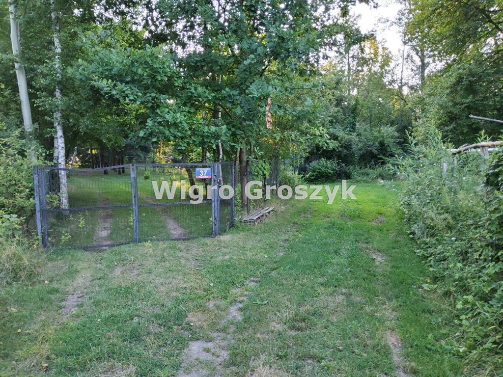 Działka budowlana na sprzedaż Pogorzelec  4 300m2 Foto 5