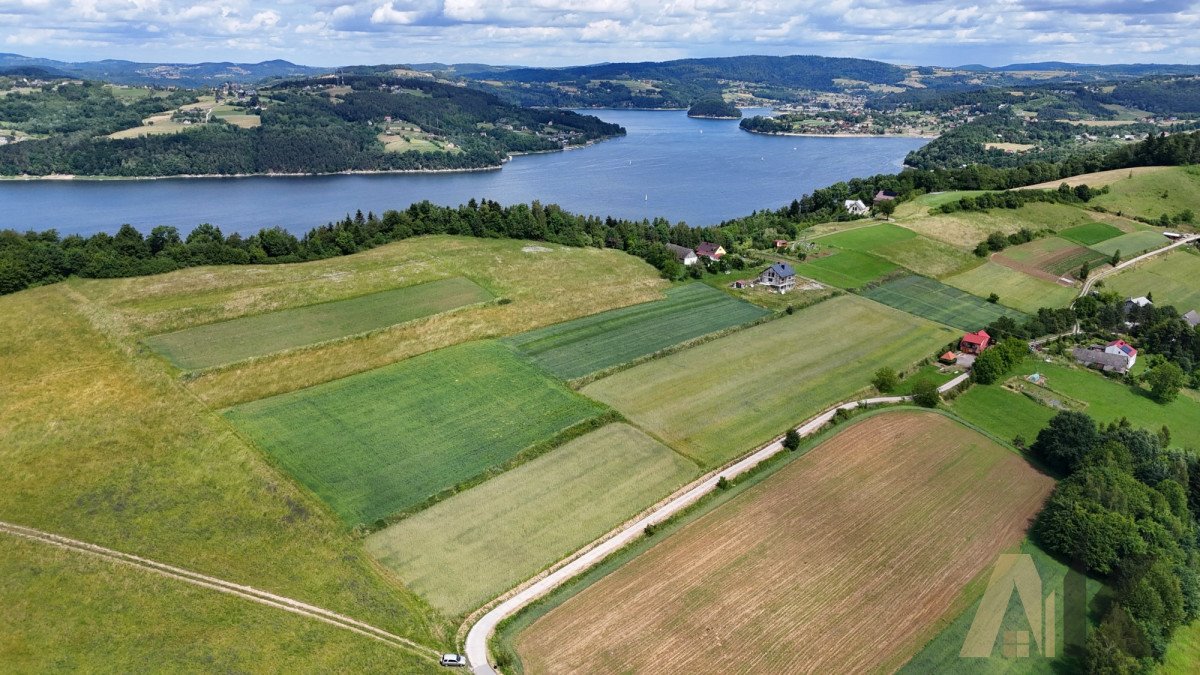 Działka budowlana na sprzedaż Sienna  3 100m2 Foto 4