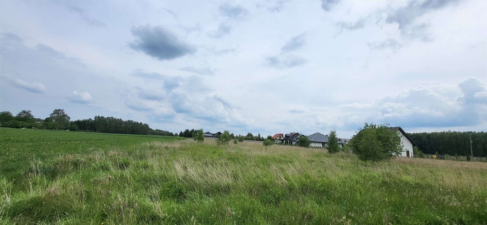 Przestronna działka 3948 m² z dostępem do drogi asfaltowej Tymienice  3 948m2 Foto 1