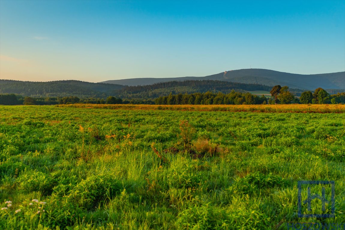 Działka budowlana na sprzedaż Świeradów-Zdrój, Jarzębinowa  1 500m2 Foto 10