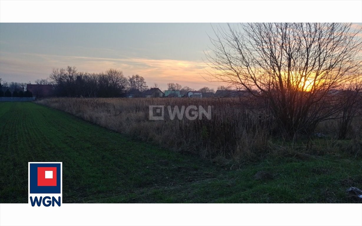 Działka budowlana na sprzedaż Wrocław, Fabryczna, Rodła  2 500m2 Foto 2