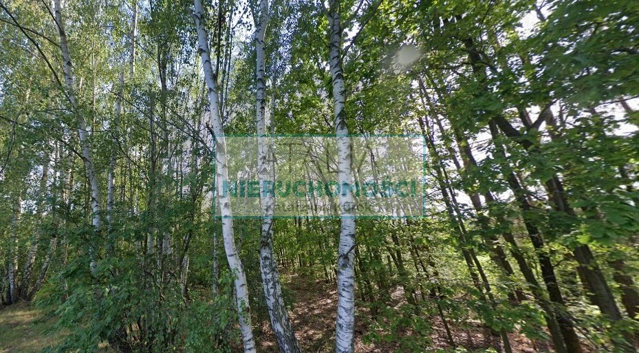 Działka 1768 m² z mediami, las, cisza, blisko PKP. Budy Zosine  1 768m2 Foto 1