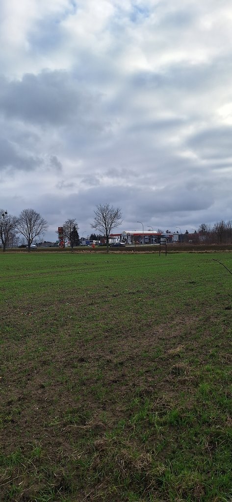 Na sprzedaż działki rolne z potencjałem inwestycyjnym przy DK 94 Krępice  33 871m2 Foto 1