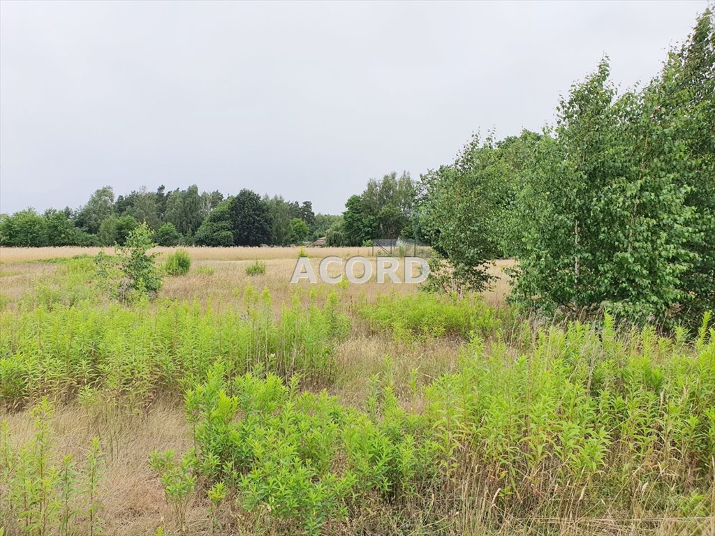 Na sprzedaż działka 2000 m² w Michałowie - idealna pod dom i działalność Michałów  2 000m2 Foto 1