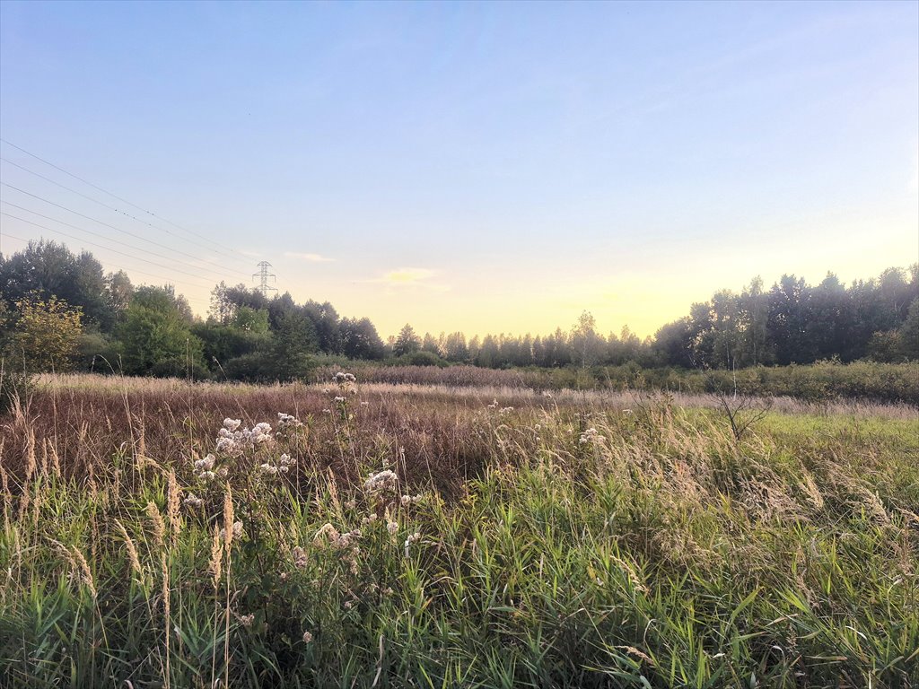 Działka 15 371 m² w Chełmie Śląskim (blisko Zalewu Dziećkowice) Chełm Śląski, Czerniny  15 371m2 Foto 1
