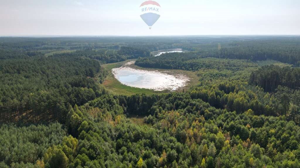 Działka siedliskowa na sprzedaż Pięćmorgi  3 292m2 Foto 7