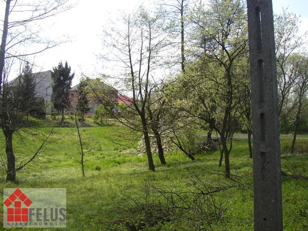 Działka 26 arów z starym domem, media, drzewa owocowe Nowa Wieś Szlachecka, Jesionka  2 600m2 Foto 1