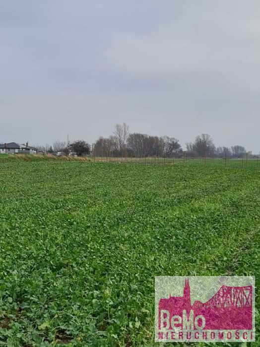 Działka pod dom w spokojnej okolicy Bogucin 1000 m2 Bogucin  1 000m2 Foto 1