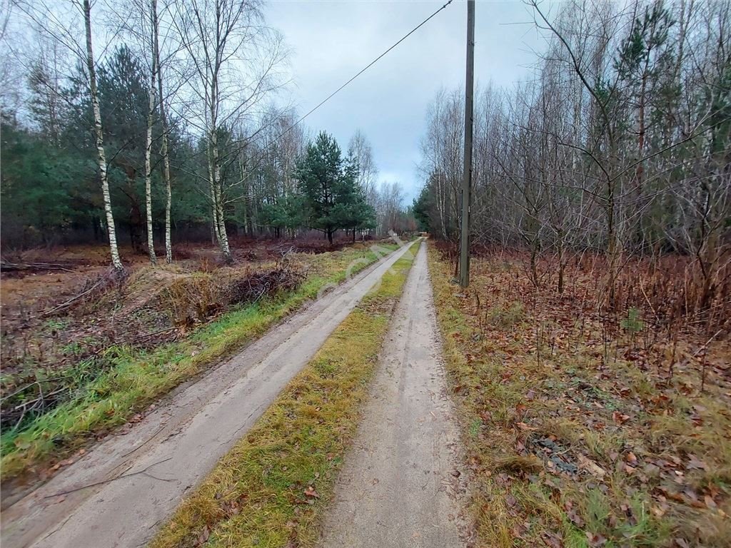 Działka budowlana na sprzedaż Lipowo  1 500m2 Foto 3