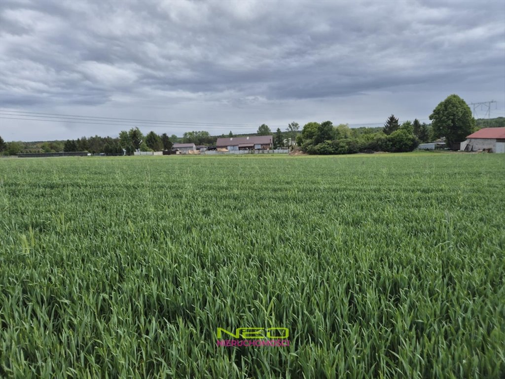 Działka 4470 m² w Opatowie - idealna pod inwestycję: Opatów