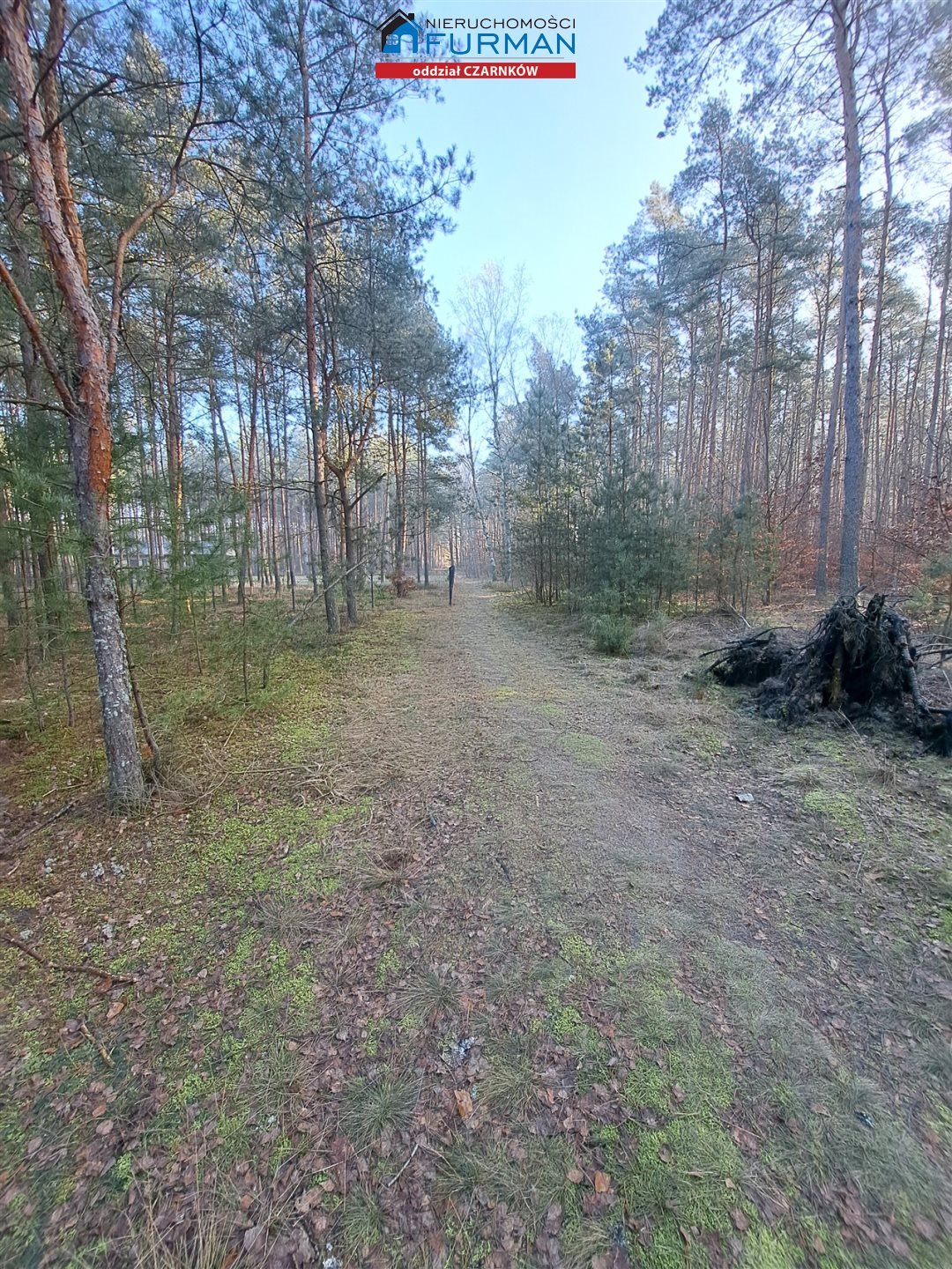 Działka inna na sprzedaż Biała  525m2 Foto 6