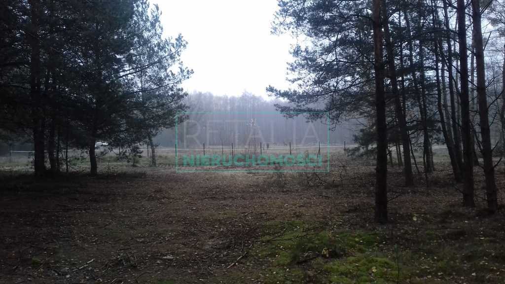 Działka leśna na sprzedaż Tarczyn  25 000m2 Foto 1