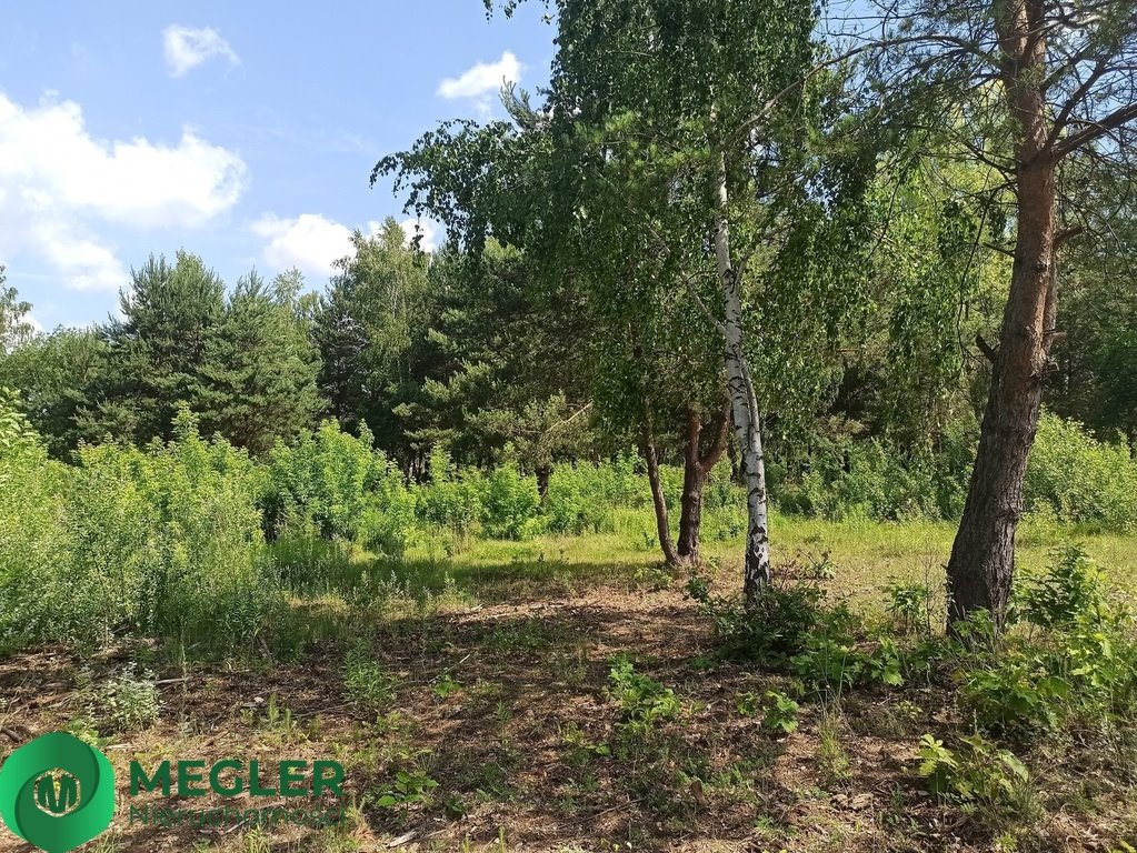 Działka budowlana na sprzedaż Ojrzanów  1 000m2 Foto 10